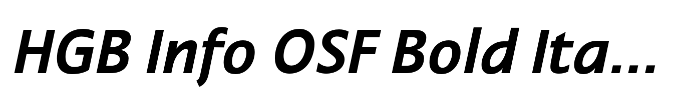HGB Info OSF Bold Italic